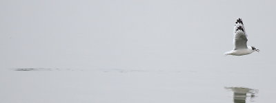 IMG_6846.JPG