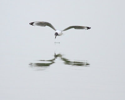 IMG_6843.JPG
