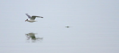 IMG_6857.JPG