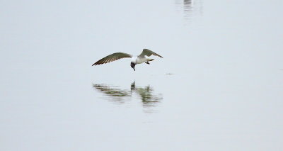 IMG_6858.JPG