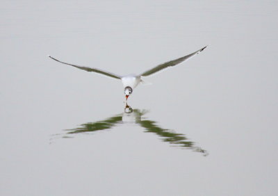 IMG_6895.JPG