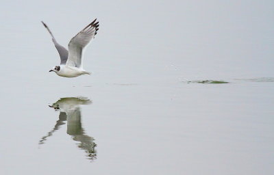 IMG_6907.JPG