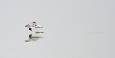 IMG_6916.JPG