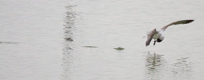 IMG_6923.JPG