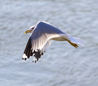 IMG_7430.JPG