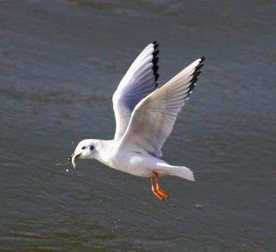IMG_7497.JPG