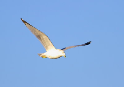 IMG_7557.JPG