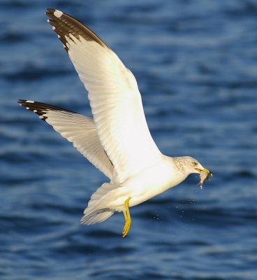 IMG_7564.JPG