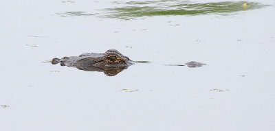 IMG_0623.JPG