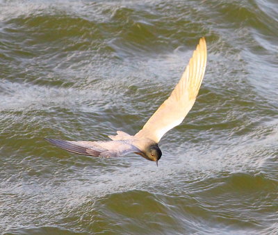 IMG_1646.JPG