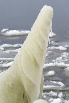 Ice Sculptures Ottawa River  (3 photos)