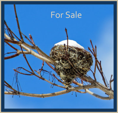 Nest For Sale