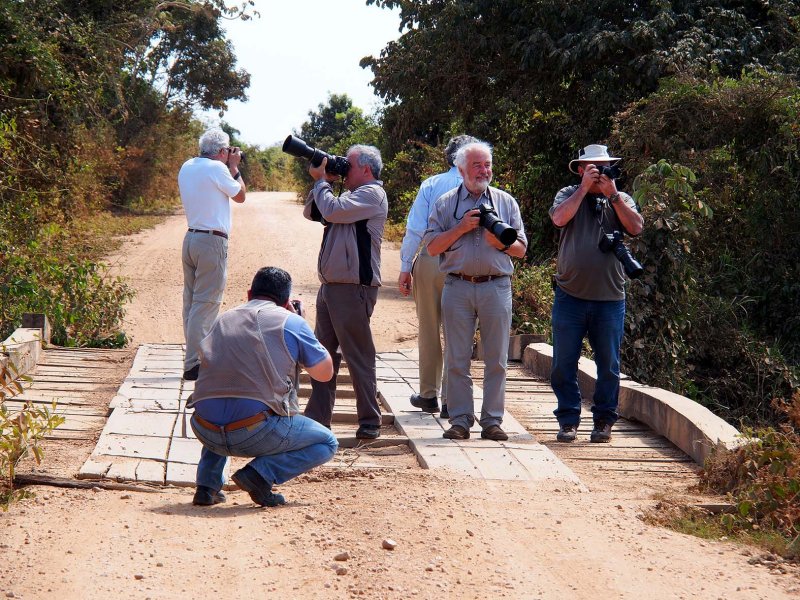 In the 'Transpantaneira' road.