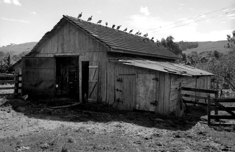 São José dos Ausentes; Rio Grande do Sul state (2010)