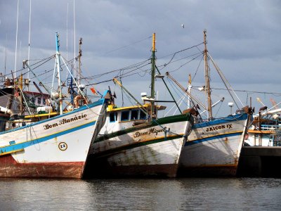 Fishing boats