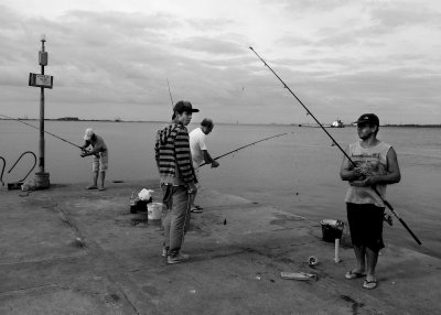 Harbor fishers
