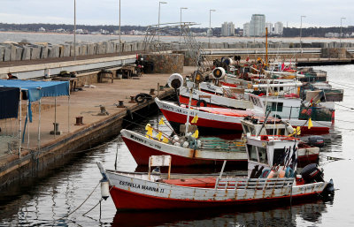 Harbor of Punta del Este.