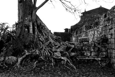 Ruins of the São Miguel Arcanjo church  