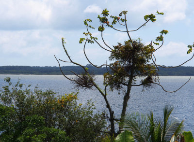 Florianópolis, Costa da Lagoa (2009-2013)