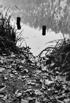 Lac in Orsay, south of Paris (Rollei 35T)