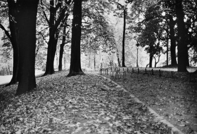 Parc Montsouris (Olympus OM2n and Zuilo 35/2) 