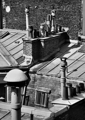 Roof of Paris
