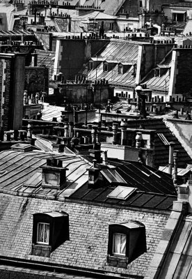 Typical Parisien roofs