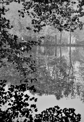 Lac in Orsay, south of Paris, where my university was located. 