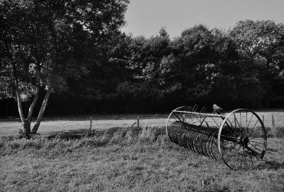 In Lombron environment, Sarthe Department, near Le Mans