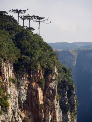 Visiting Canyons in South of Brazil (2014)