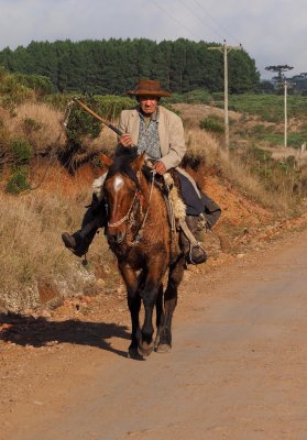 'Gaucho' on the road to Cambará do Sul, after visiting Itaimbezinho.