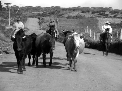 'Gauchos' on the road to Cambará do Sul, after visiting Itaimbezinho.