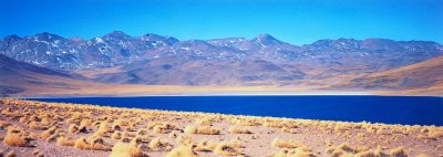 Laguna Miscanti, Atacama area, Chili; Hasselblad X-Pan (2008)