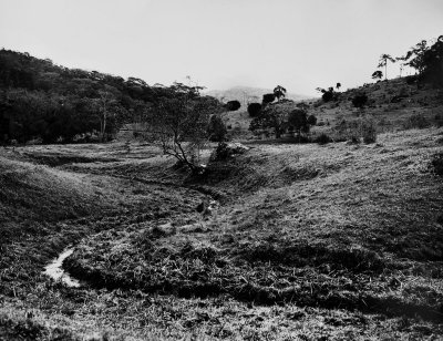 Serra do Ribeirão, Florianópolis, Brazil; taken with a Mamiya 7 and the lens 80/4; Ilford 100.