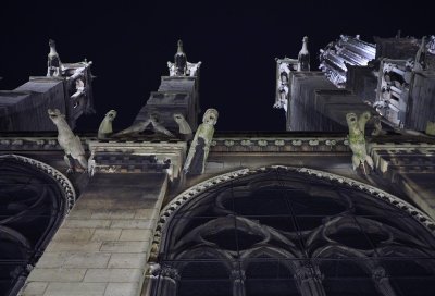 Notre Dame; the gargoyles. 