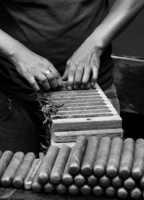 Producing cigars at Little Havana. 