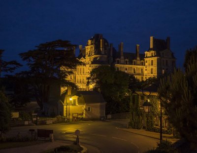 After dinner, on our way back, the Chateau de Brissac. 