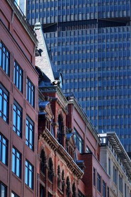 Montreal; downtown.