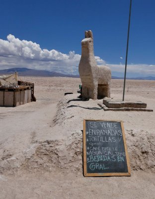 A salty lhama? yes, at the Salar Salinas Grandes. And 'empanadas' to sell.