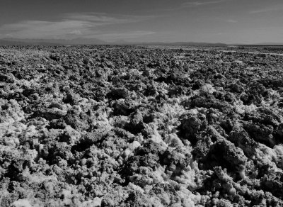 Park Laguna Chaxa; a salty land, inside the Atacama Salar.