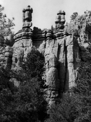 Red National Park, near the Brice Canyon.