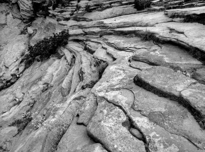 at the Zion Park. 