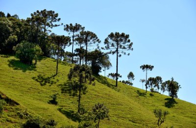 Near São Bonifácio.