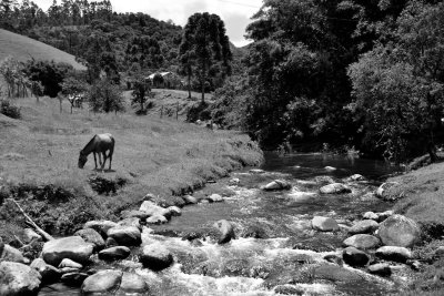 Near São Bonifácio.