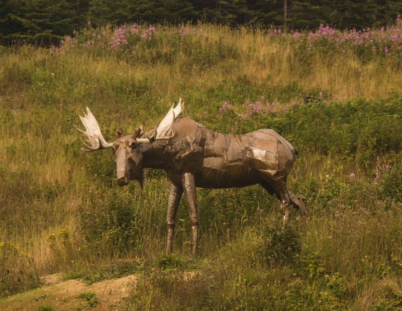 fbfishersloftmoose.jpg
