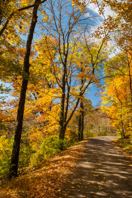Fall Colors - Percy Warner Park