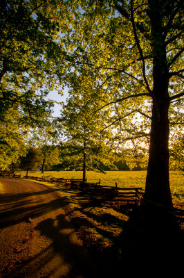 Cades Cove