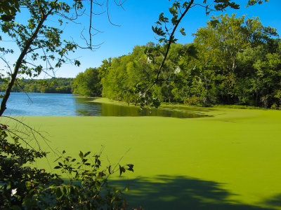 Radnor Lake