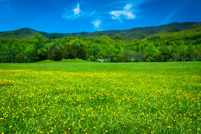 Cades Cove