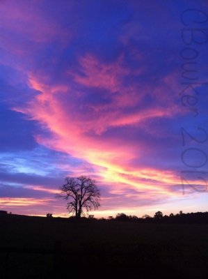 sky 19.jpg